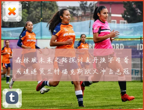 森林狼未来之路探讨麦丹换字母哥或追逐莫兰特福克斯欧文冲击总冠军